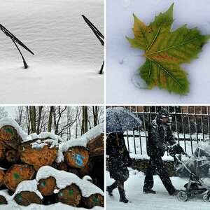 Winterbilder