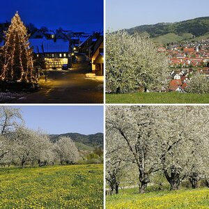 Schwarzwald