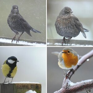 Winter 2010/2011