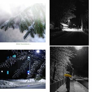 Diverses21