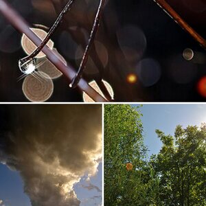 Natur