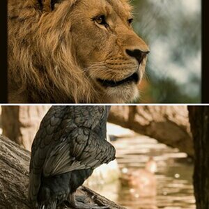 Zoo