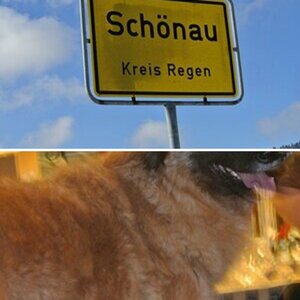 Meine ersten!