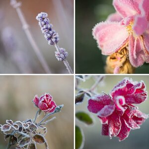 Mit 105mm durch Herbst und Winter