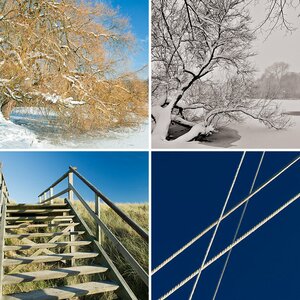 Beste 5 aus 2010