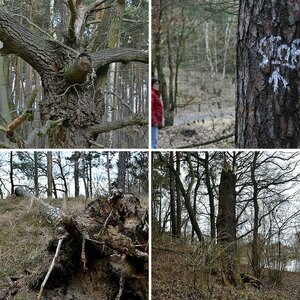 Gottower See (b. Luckenwalde - BB)