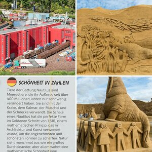 5 Bilder
