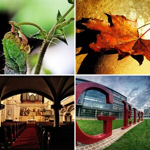 Buntes und Montagen