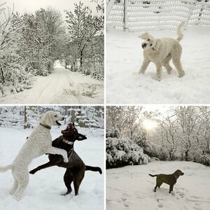 Schnee in Luxembourg