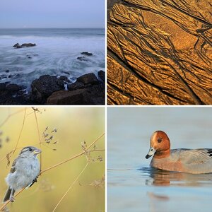 Naturfotografie in 2012