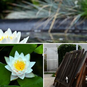 Meine Bilder