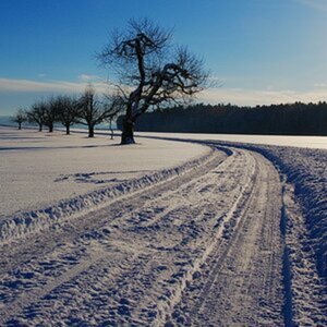 Landschaft