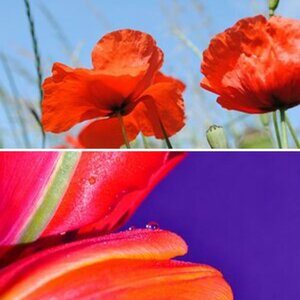 farben