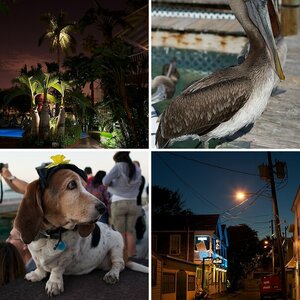 FLA2010