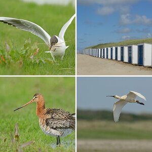 Texel Mai 2012