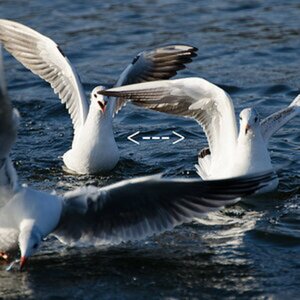 sonstige Bilder