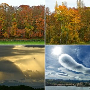 Landschaft