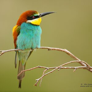 Extremadura 2012