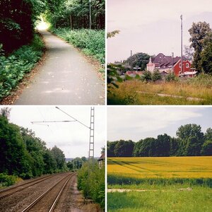 analog