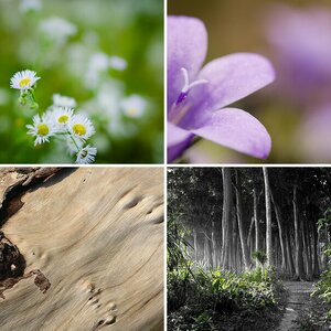Natur