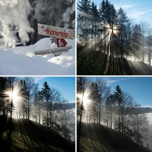 Schatten-Nebel