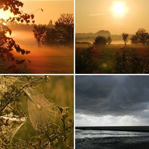 Naturfotografie
