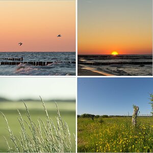 noch mehr Usedom