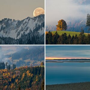 Landschaft