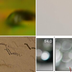 Forenbilder