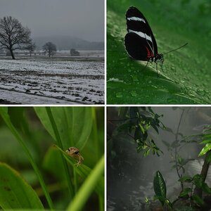 Erste Bilder