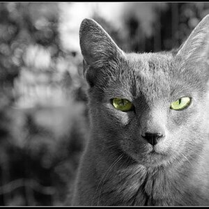 Colourkey