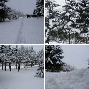 winter