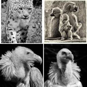 Tierpark Nürnberg