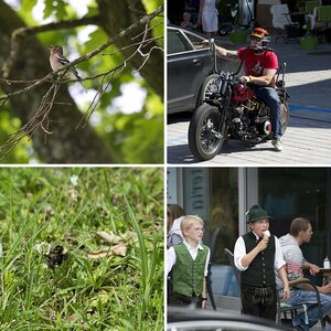 Testbilder mit Sigma 50-500