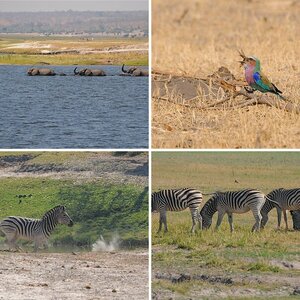 Botswana (2)