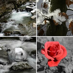 @ Nature
