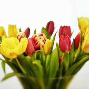 Blumen