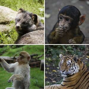 Zoo Leipzig