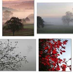 Herbst 2011