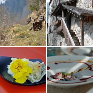 Bilder 2