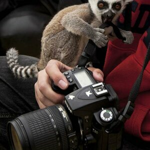 Nikon