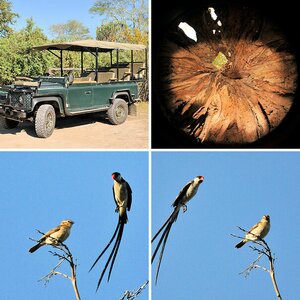 Malawi4 2010