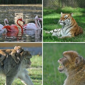 Safari-Park Stukenbrock