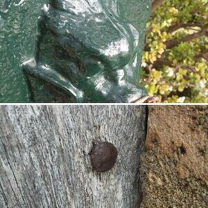 Bespielbilder