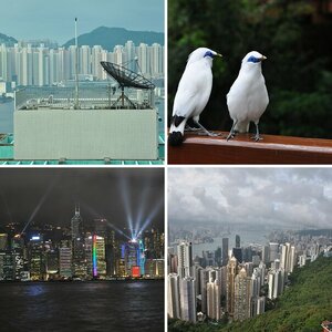 2012_Hong_Kong