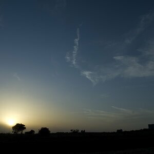 Bilder engio