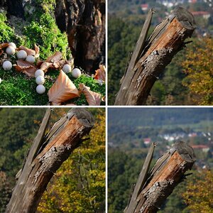 Testbilder Nikon D5100