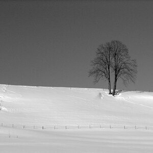 warten auf den Frühling