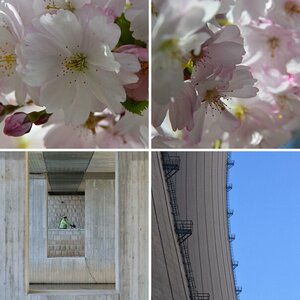 Hochwasser Weser