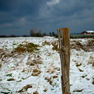 Landschaft